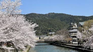 ランド ビュー / 38