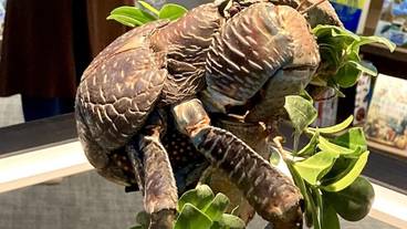 シティ ビュー / 30