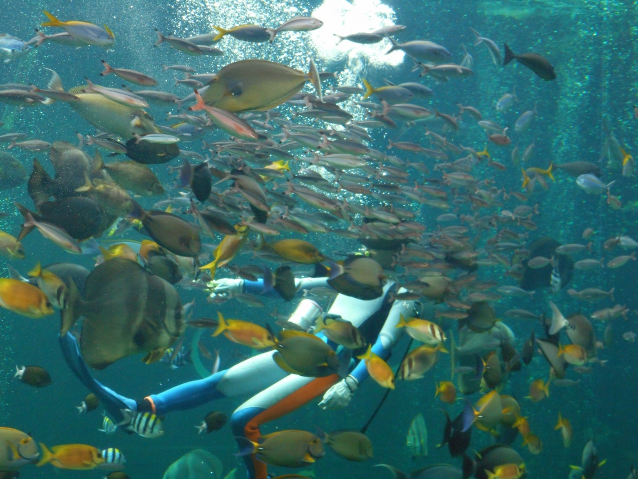 箱根園水族館702684