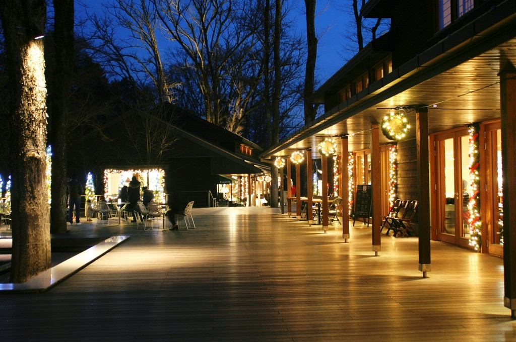 進化を止めない星野リゾート4247595