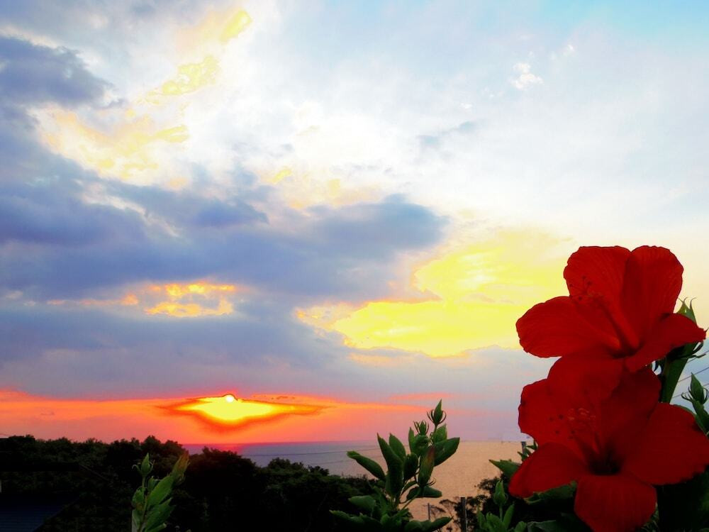 施設からの眺望