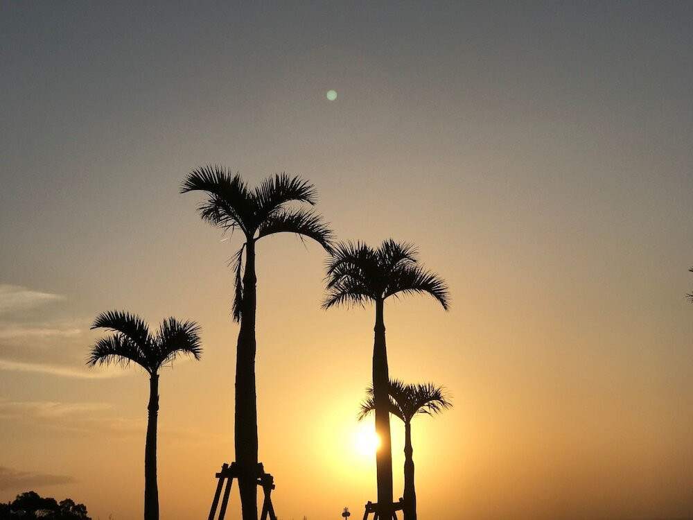 施設からの眺望