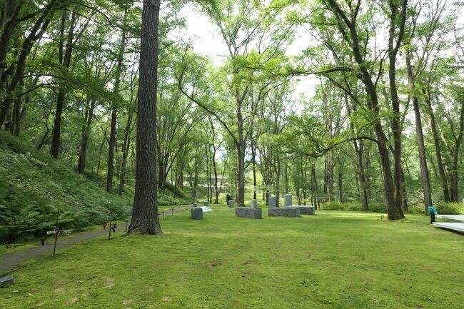 「セゾン現代美術館」で
美しい芸術に触れる / 2