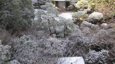 庭園 / 23