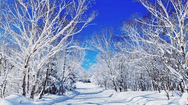 ランド ビュー / 16