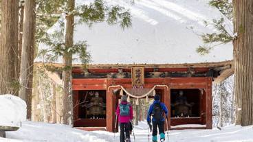 スノーシュー / 7