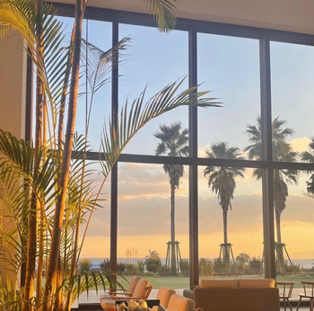 「マリブファーム  逗子マリーナ」 料理 181219932 