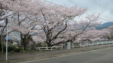施設からの眺望 / 14