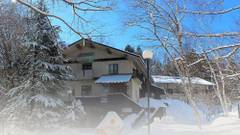 フェニックスホテル