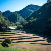 せとうち古民家ステイズHiroshima 不老仙（広島県 グランピング） / 3