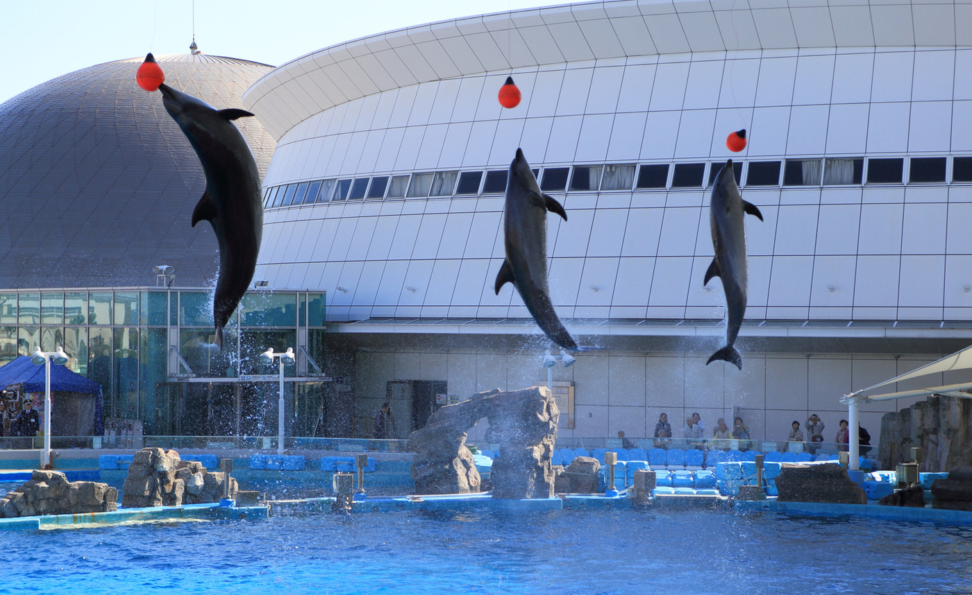 みんなジャンプ成功したのかな？