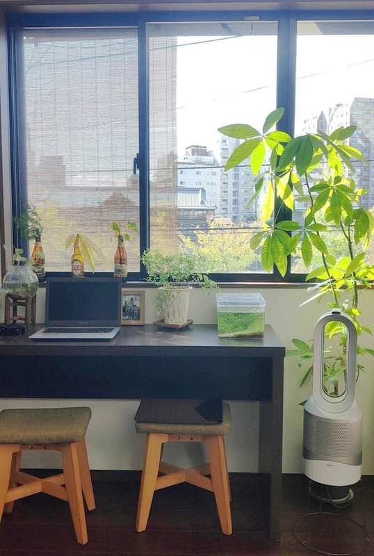 施設からの眺望