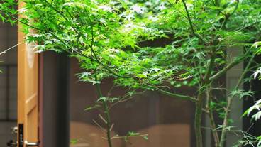 テラス / パティオ / 23