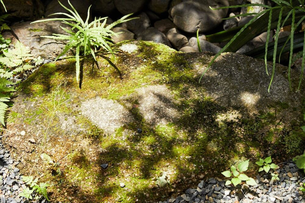 施設からの眺望