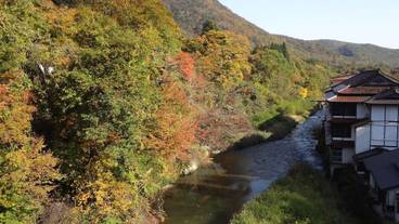 マウンテン ビュー / 5