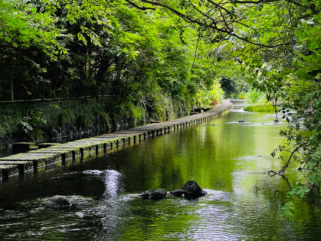 三島駅周辺のホテルに泊まれば観光の満足度がアガる♡4023488