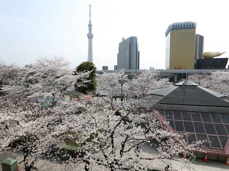 展望大浴場あさひ湯 ドーミーインEXPRESS浅草 / 4