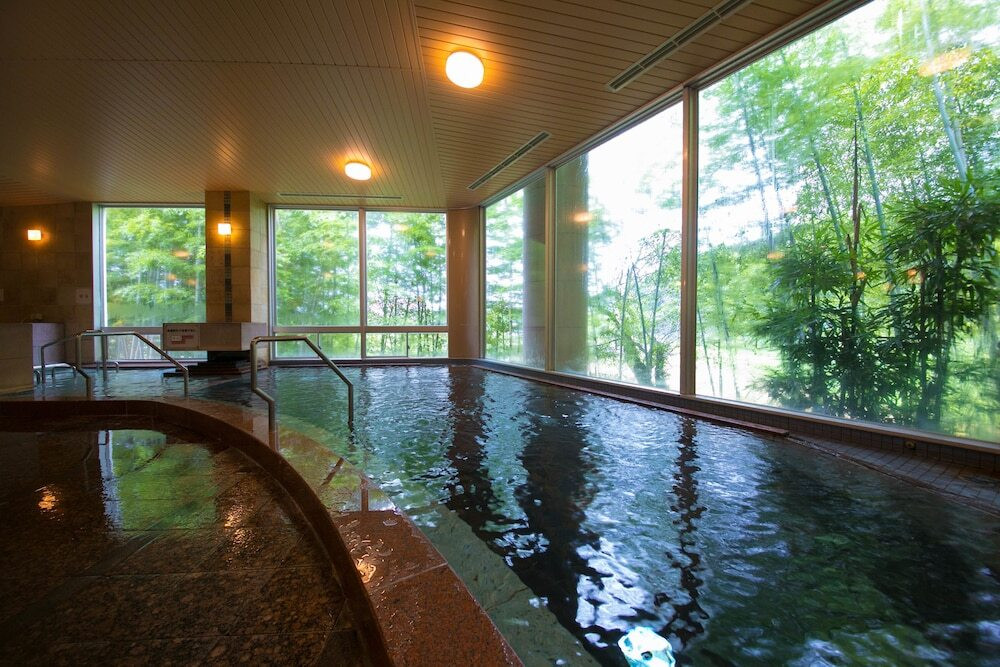 リーズナブルな価格で炭酸泉に入浴できる旅館♡4002079