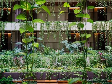 MB GALLERY CHATAN by THE TERRACE HOTELS / 2