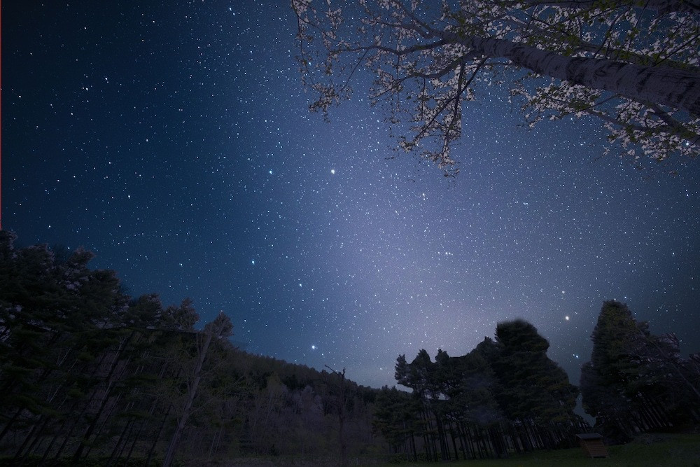 “温泉+カフェ”の新しい滞在スタイルを満喫3452694