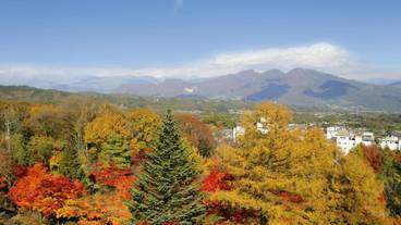 施設からの眺望 / 9