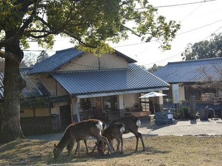 ザ・ディアパークイン / 4