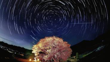 施設からの眺望 / 12