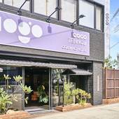 COGO TENNOJI（大阪府 ゲストハウス・ホステル・ドミトリー） / 4