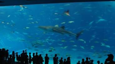 観光スポット / 1