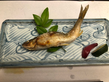 「新木鉱泉旅館」 料理 135564101 