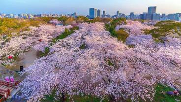 観光スポット / 13