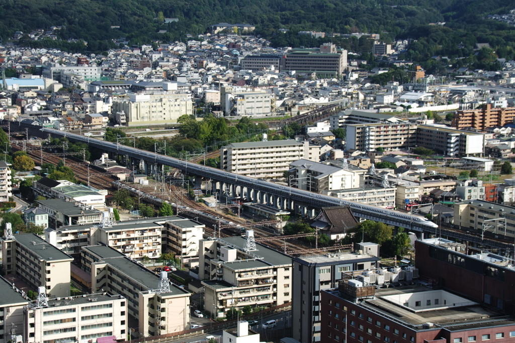 京都を一望！新旧共存する絶景995589