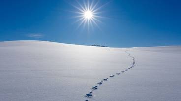 ランド ビュー / 26