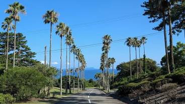 観光スポット / 12