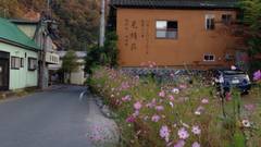 老神温泉 天然湯 見晴荘