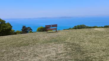 Heart Bench / 24