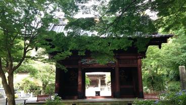 観光スポット / 12