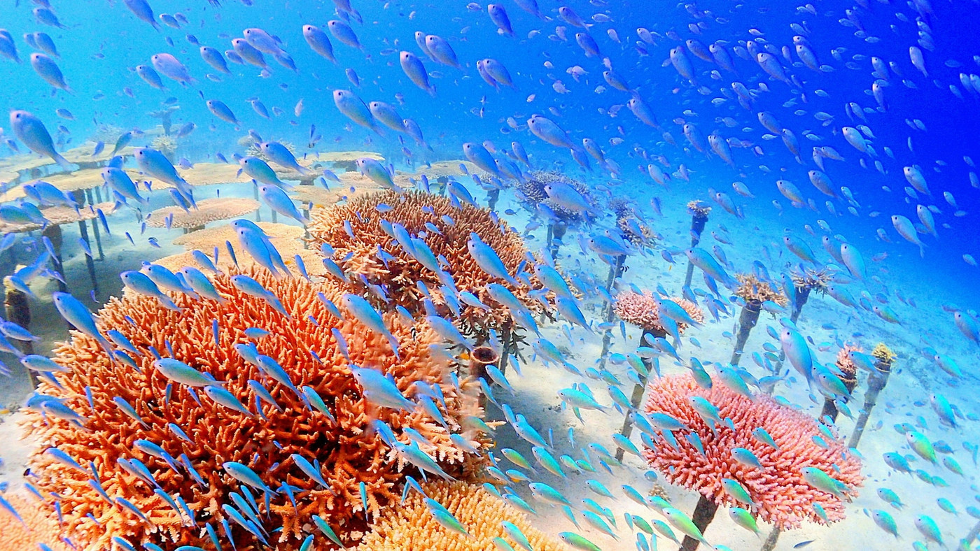 ビーチ沿いの絶景インフィニティプールが楽しめるリゾートホテル3657546