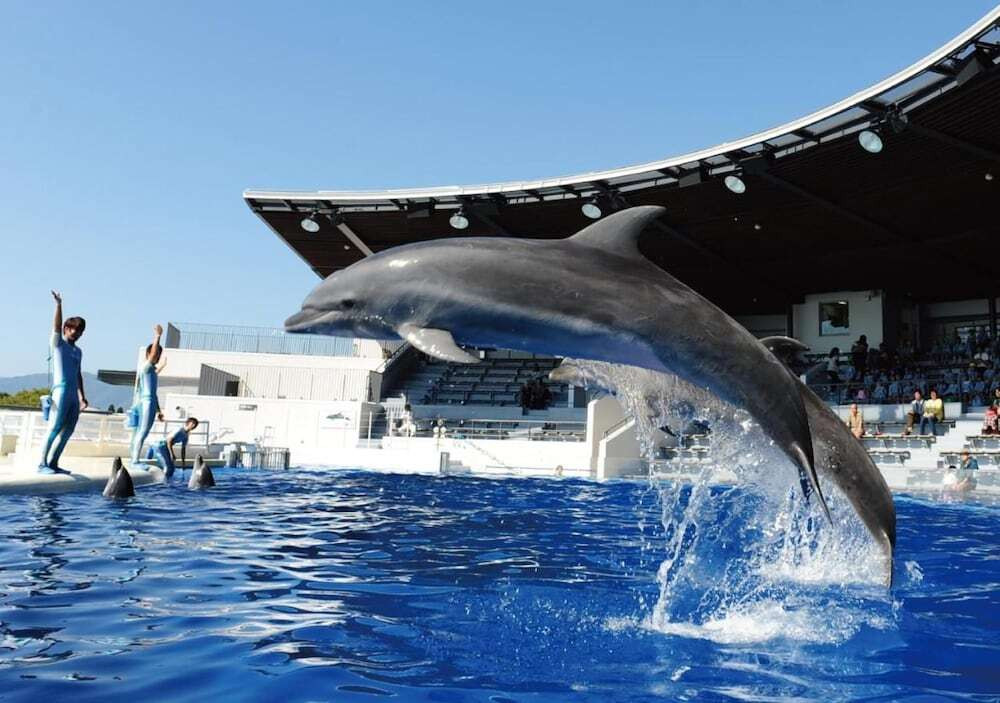 プール