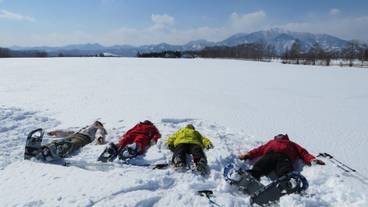 施設の敷地 / 17