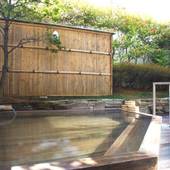 湯村温泉 甲府記念日ホテル（山梨県 シティホテル） / 3