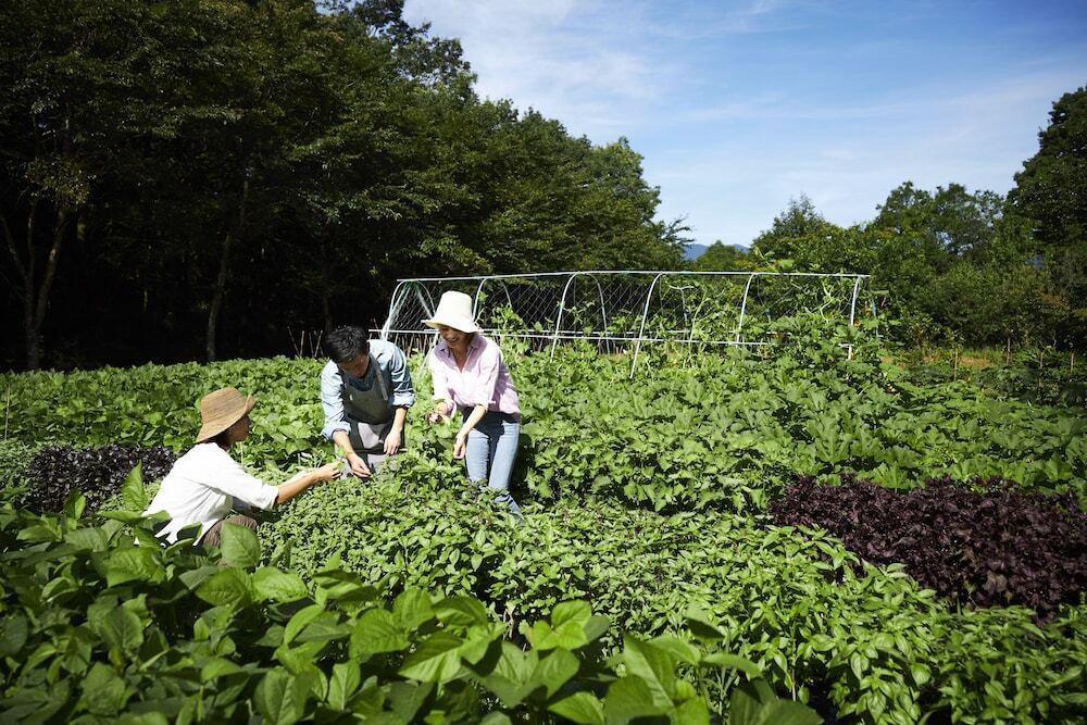 ファーマーズレッスン