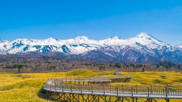 知床五湖 高架木道 / 2