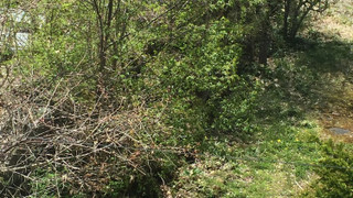 ツインルーム マウンテンビュー