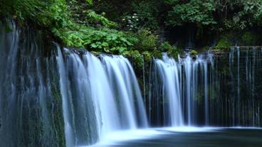 白糸の滝① / 1