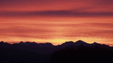 シティ ビュー / 4