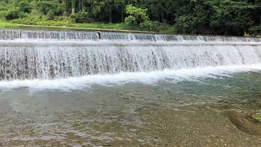 ランド ビュー / 29