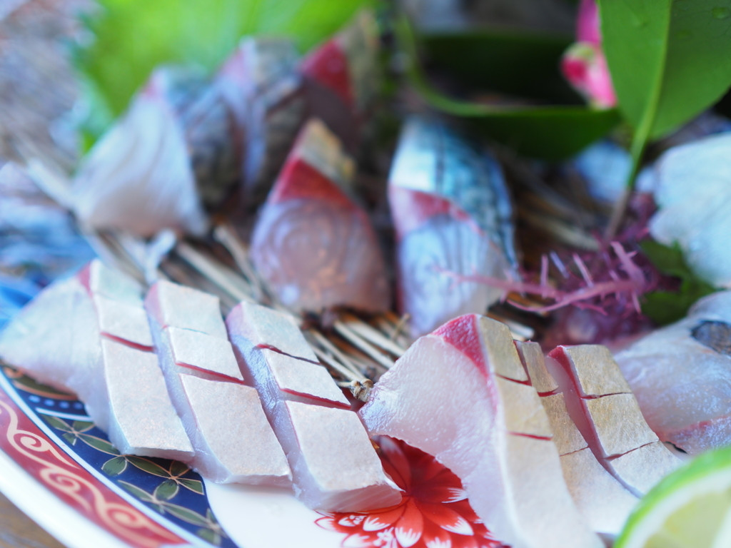 「関サバ」をたらふく楽しむ旅、しませんか？3384662