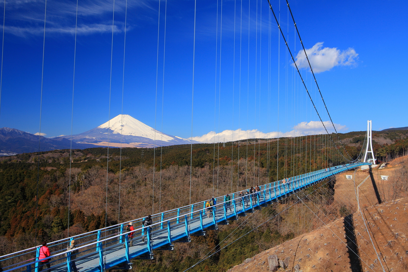 三島スカイウォークと富士山