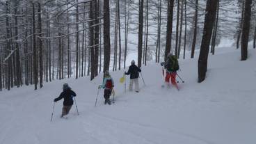 スノーシュー / 11